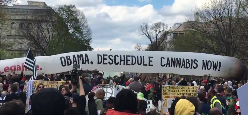 Marijuana Protest at the White House