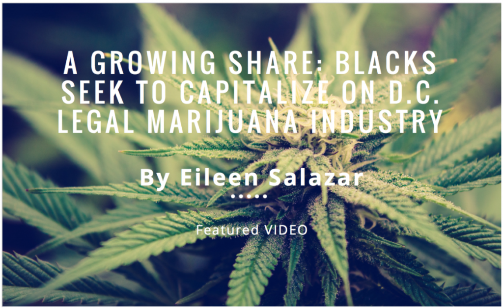 A Growing Share: Blacks Seek to Capitalize on D.C. Legal Marijuana Industry