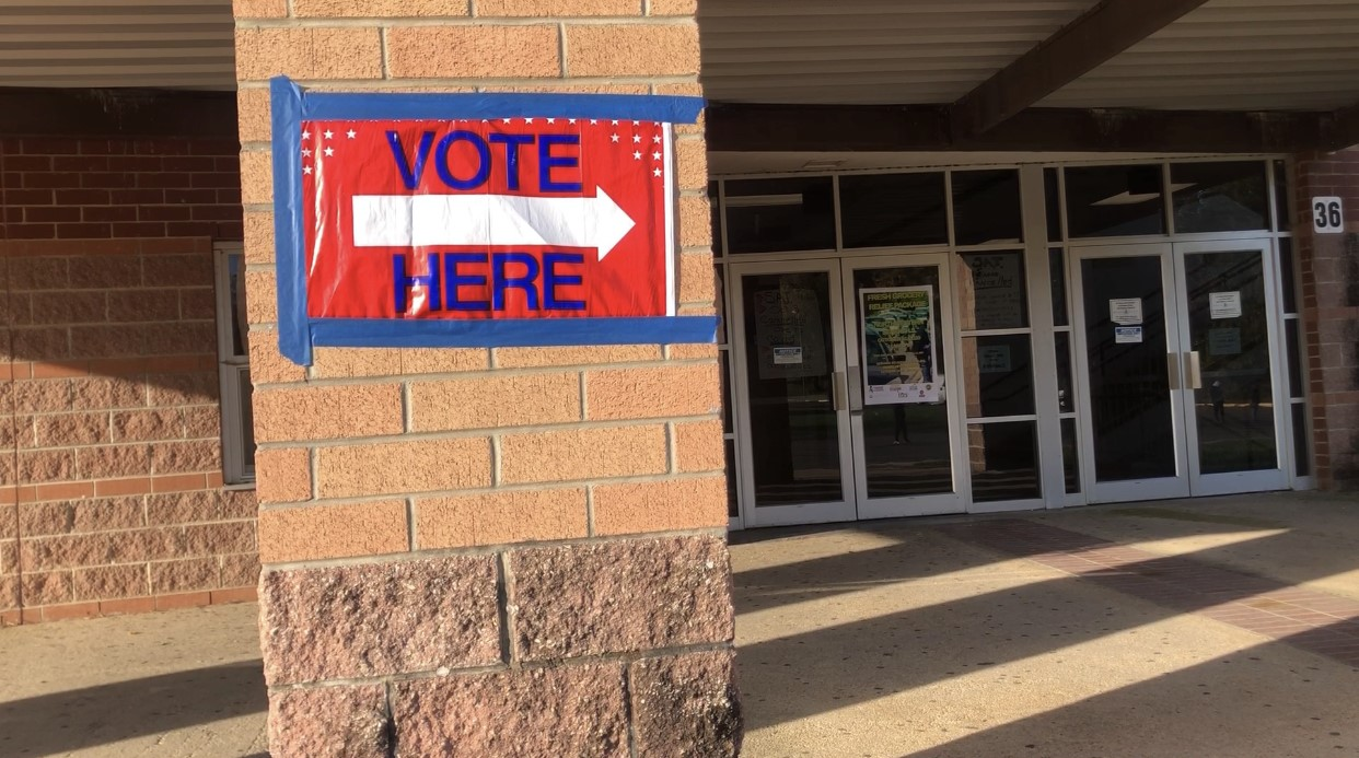 “It’s the Least I Could Do.” Voters Endure Long Lines Despite COVID-19