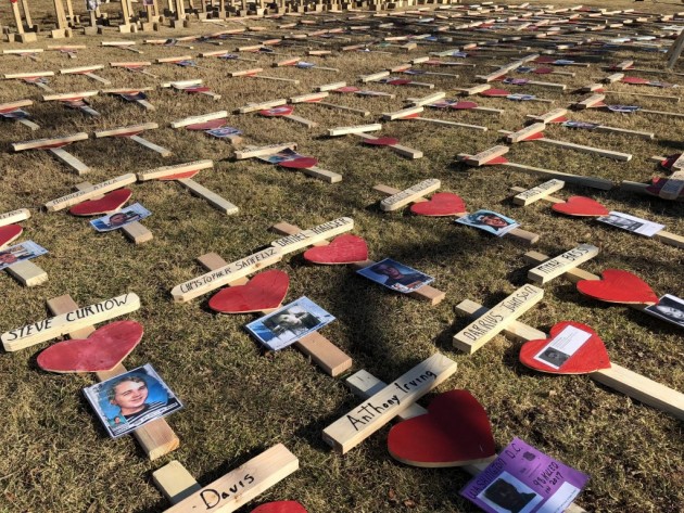 Crosses at White House Commemorate the Dead