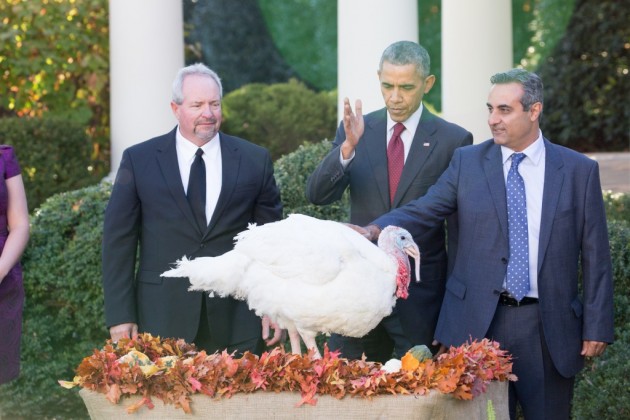 Obama Gives Turkeys Presidential Pardon