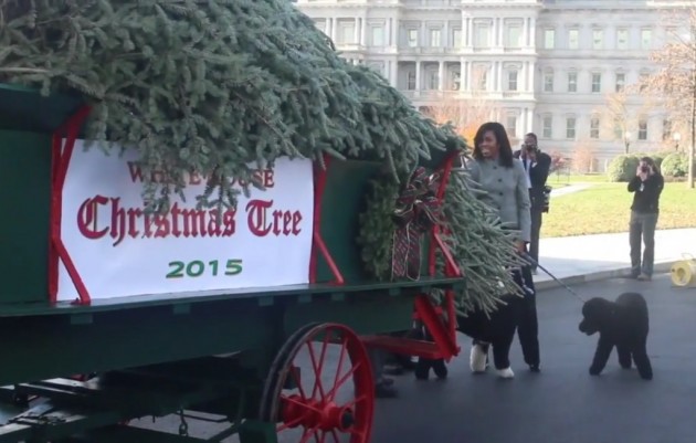 The First Lady Welcomes the Official White House Christmas Tree