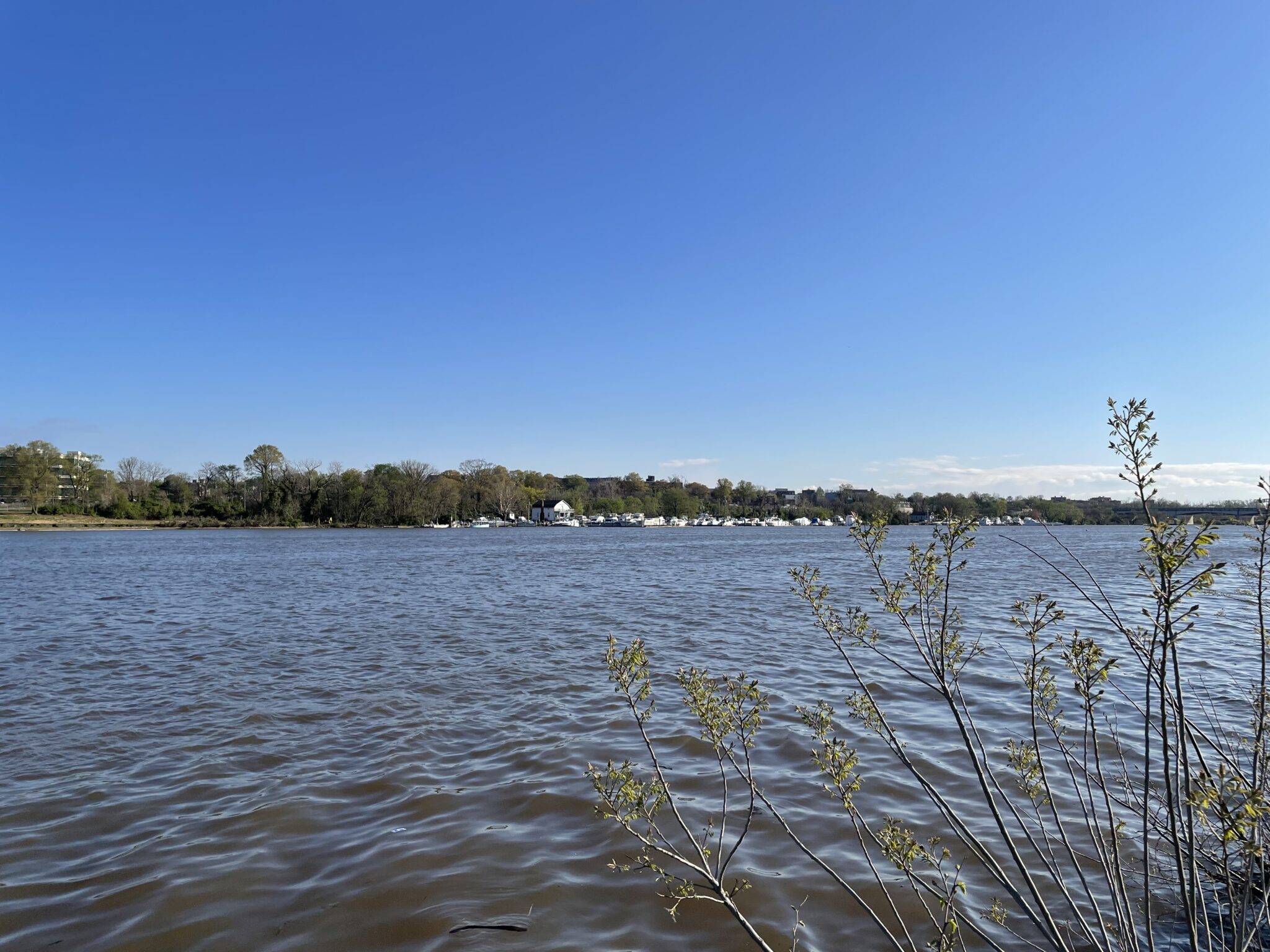 Project 2025 Would Pose Major Changes to Environmental Policy Howard