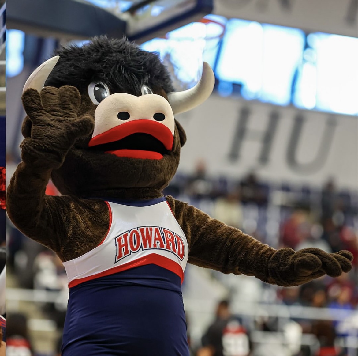 Behind the Scenes With Howard University’s Bison Mascot