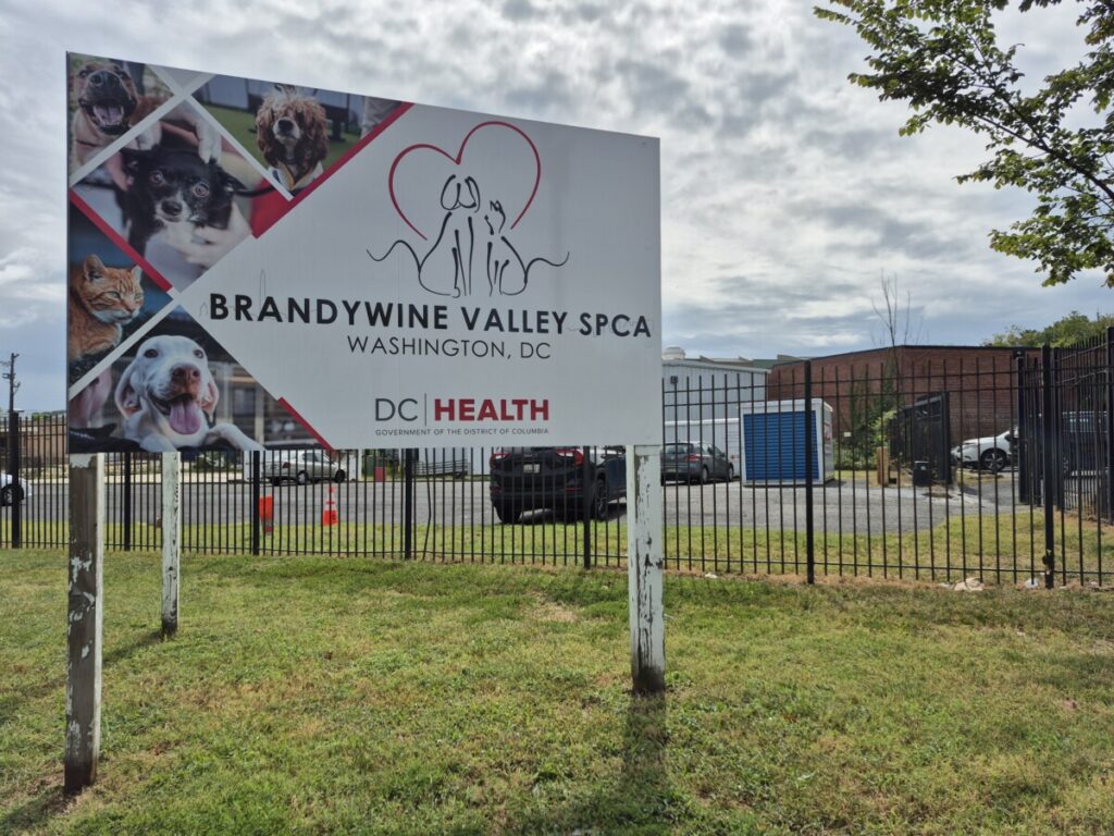 Brandywine Valley SPCA sign outside of the 1201 New York Ave. NE location that is set to be demolished after being an animal shelter for over 40 years. (Photo: Myla S. Roundy/HUNewsService.com)