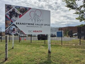 Brandywine Valley SPCA sign outside of the 1201 New York Ave. NE location that is set to be demolished after being an animal shelter for over 40 years. (Photo: Myla S. Roundy/HUNewsService.com)