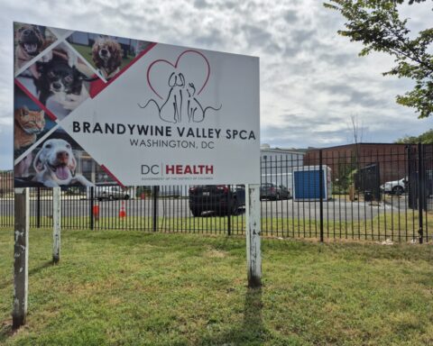 Brandywine Valley SPCA sign outside of the 1201 New York Ave. NE location that is set to be demolished after being an animal shelter for over 40 years. (Photo: Myla S. Roundy/HUNewsService.com)