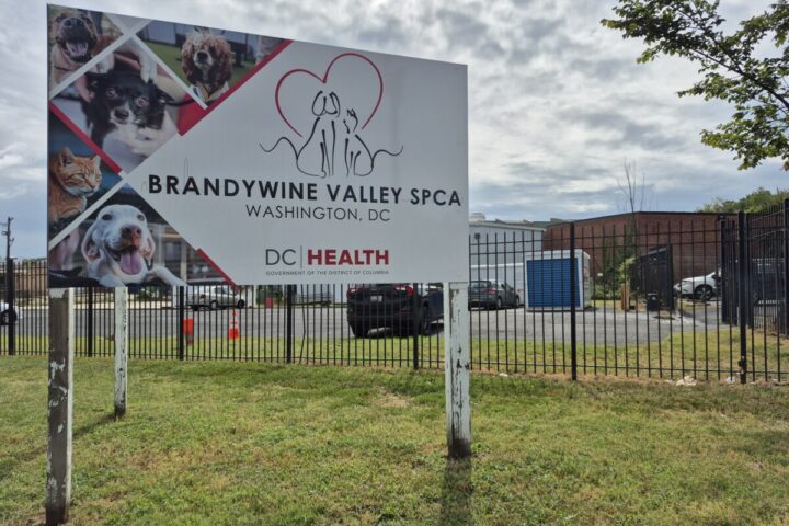 Brandywine Valley SPCA sign outside of the 1201 New York Ave. NE location that is set to be demolished after being an animal shelter for over 40 years. (Photo: Myla S. Roundy/HUNewsService.com)