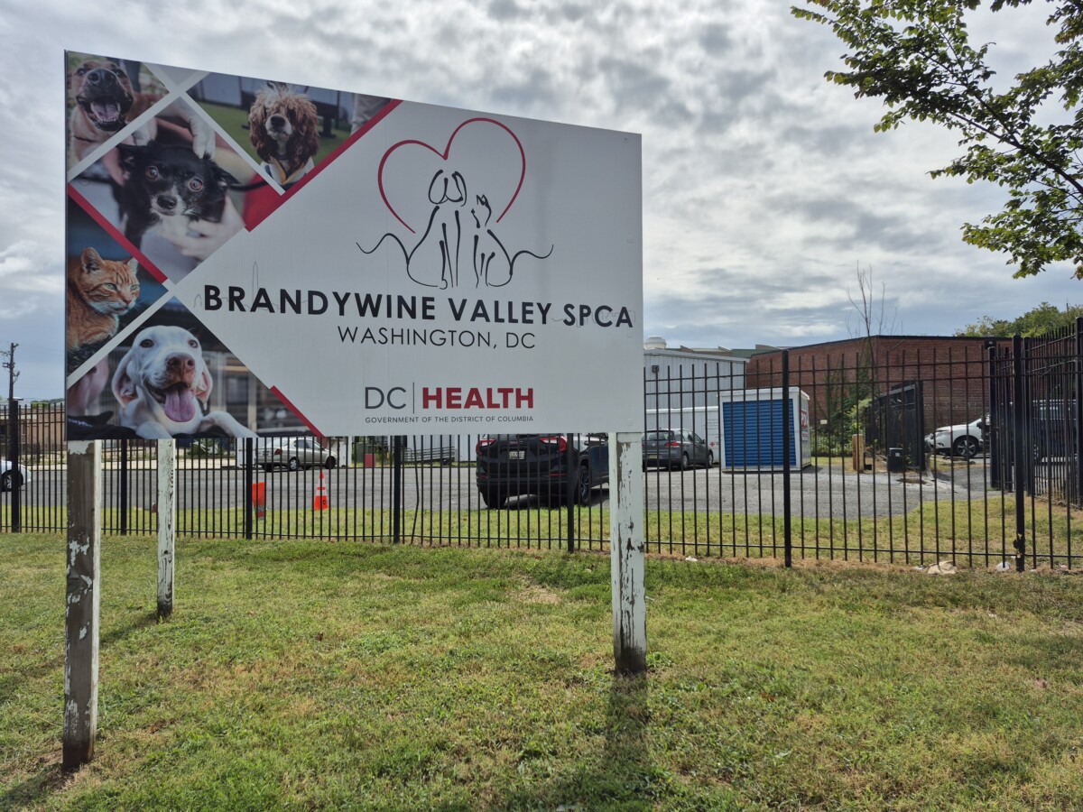 Brandywine Valley SPCA sign outside of the 1201 New York Ave. NE location that is set to be demolished after being an animal shelter for over 40 years. (Photo: Myla S. Roundy/HUNewsService.com)